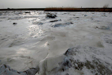 HY-ijs-zelling-16-435