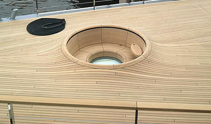 SteveJobs_Venus_whirlpool